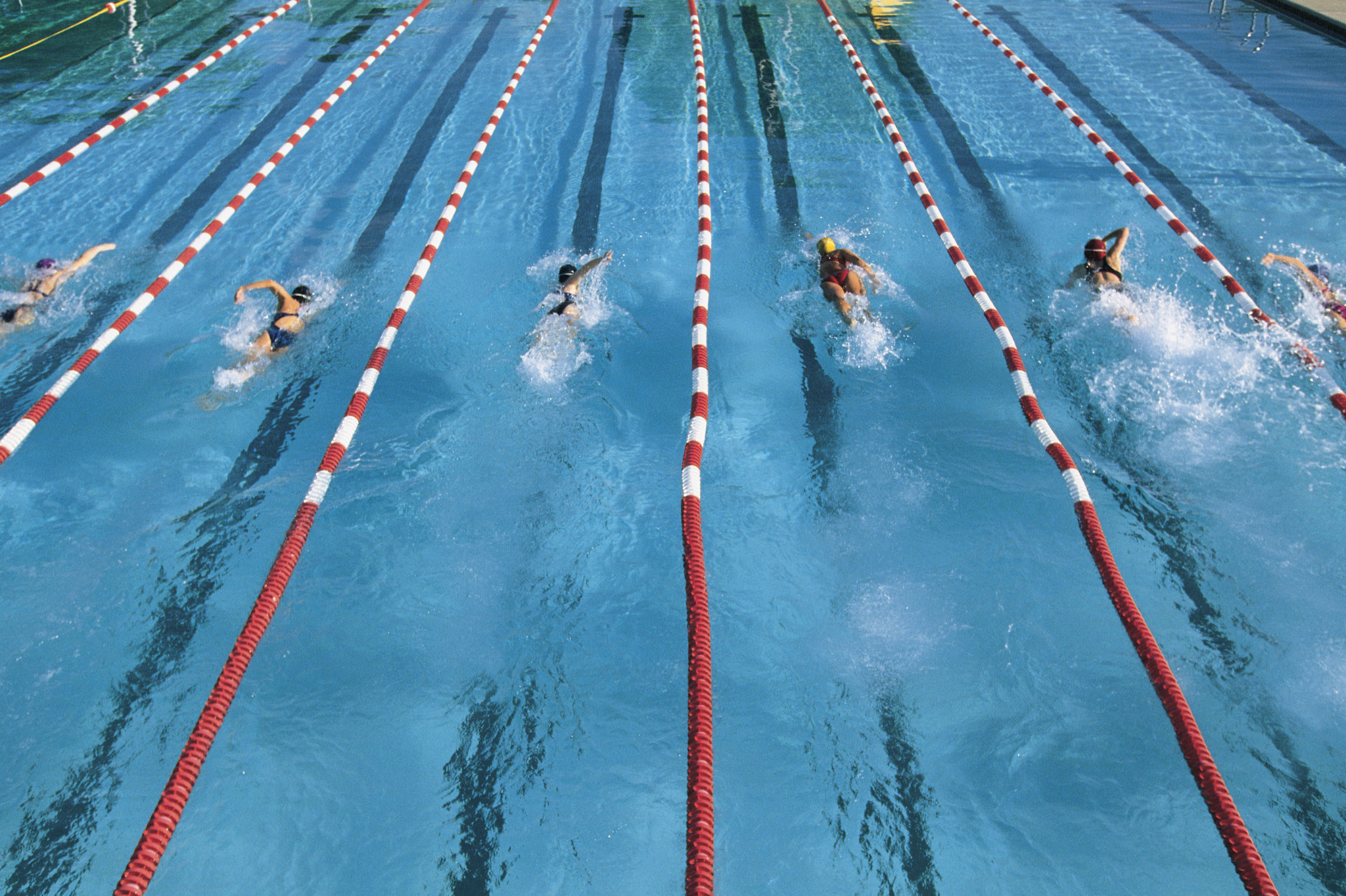 Racer Swim